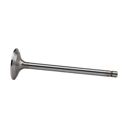 R84619 Intake Valve for Tractor Parts JD